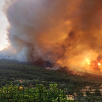 Cs critica que el Patronato del Parque de Monfragüe “pase de los incendios”