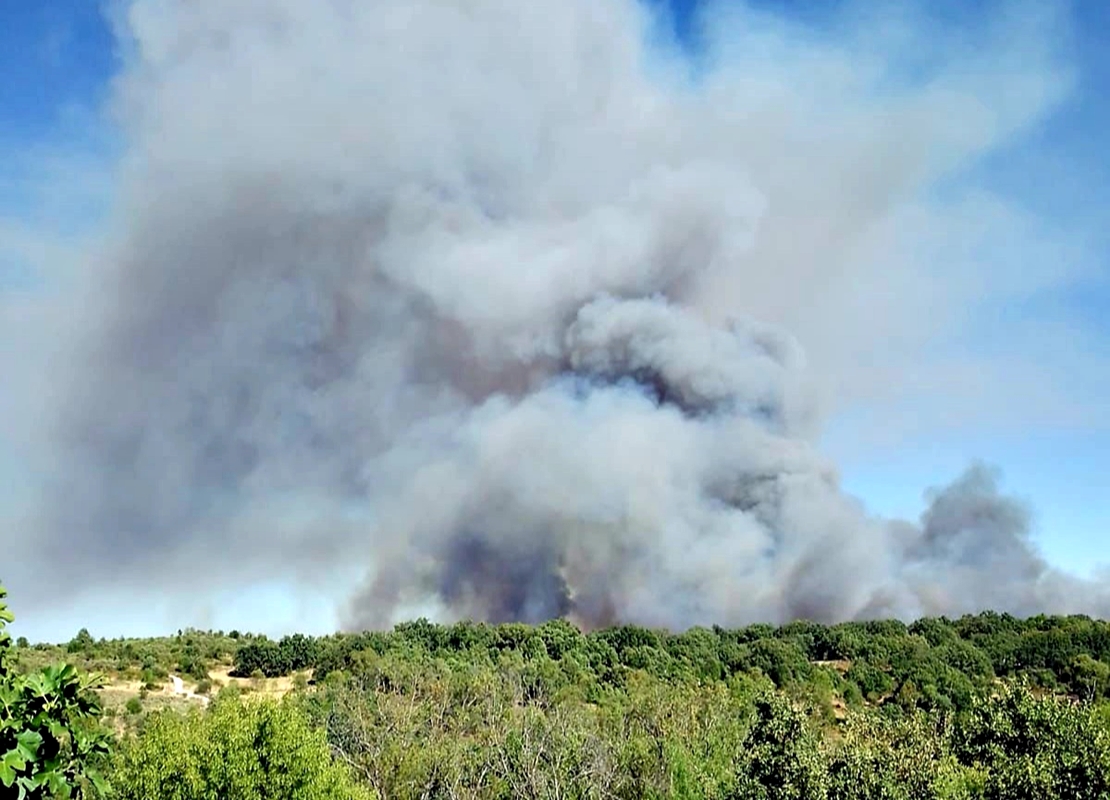 Imágenes del incendio forestal en Villanueva de la Vera (CC)