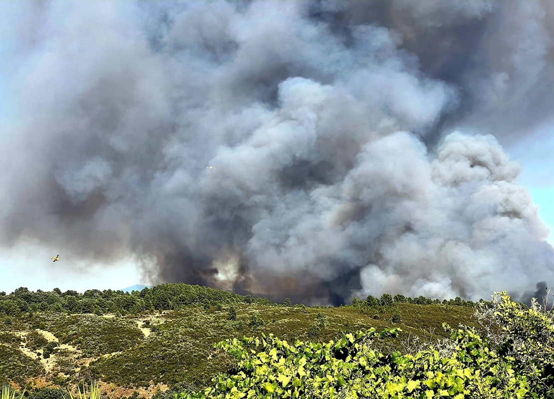 Imágenes del incendio forestal en Villanueva de la Vera (CC)