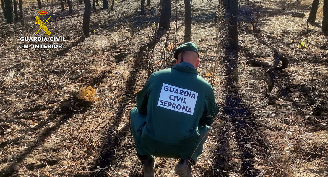 Investigado un pastor por ser el supuesto responsable de 8 incendios forestales