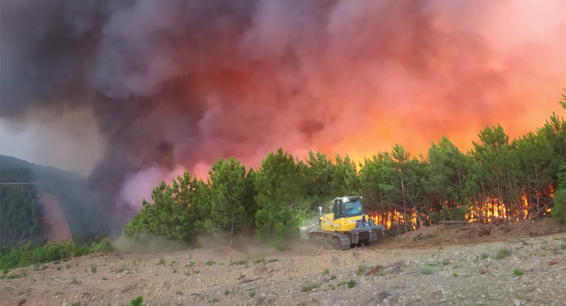 Se mantiene la preocupación en Sierra de Gata: te contamos cómo están trabajando en la zona