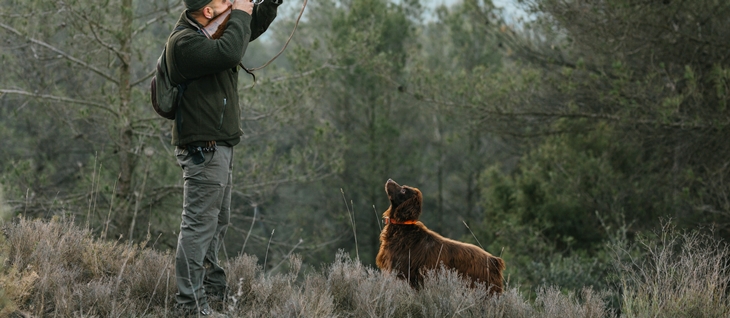 Animalistas exigen derechos para todos los perros sin excepción