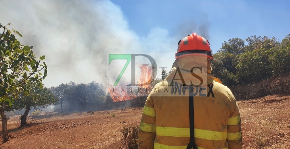 Incendio forestal fuera de control cerca de Nogales