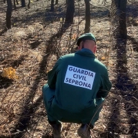 Investigado el supuesto responsable de 8 incendios forestales en Extremadura