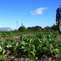 Más de 2.000 jóvenes agricultores y ganaderos han percibido 5.500 euros de ayuda