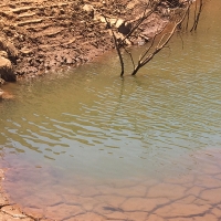 El Guadiana no almacena ni el 26% de agua que le permite su capacidad total