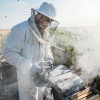 Dramática situación para los Apicultores Extremeños