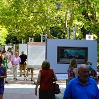 Cánovas se transforma en el museo del Prado