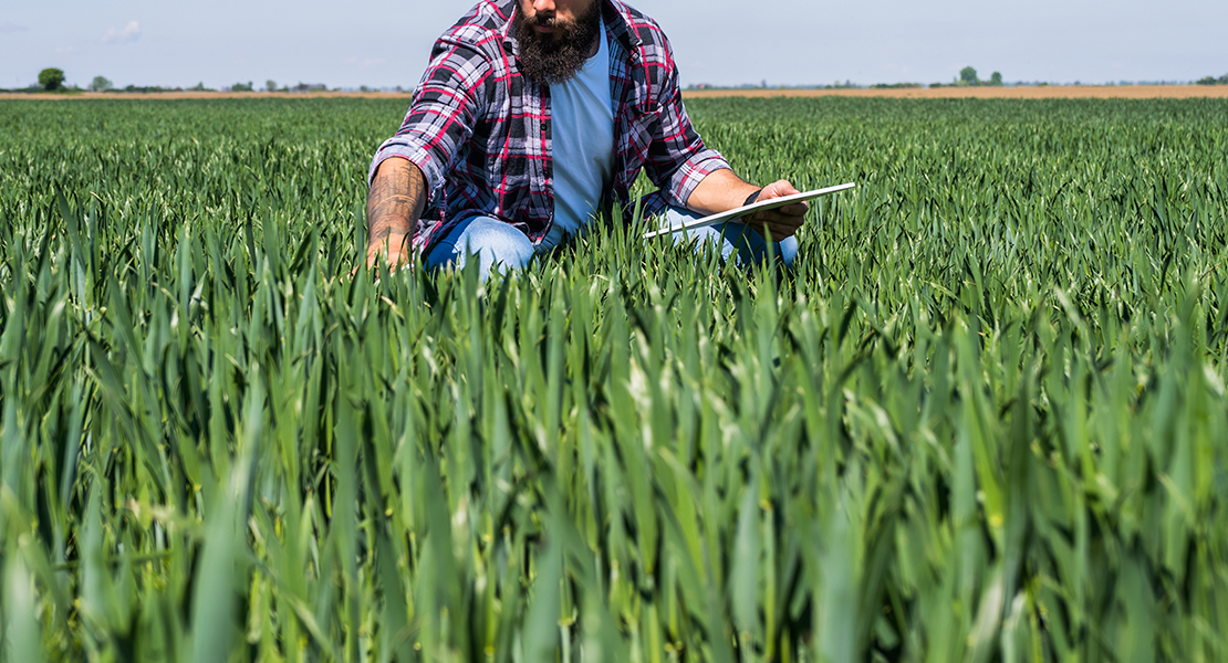 Resueltos 70 expedientes de ayudas a la creación de empresas para jóvenes agricultores extremeños