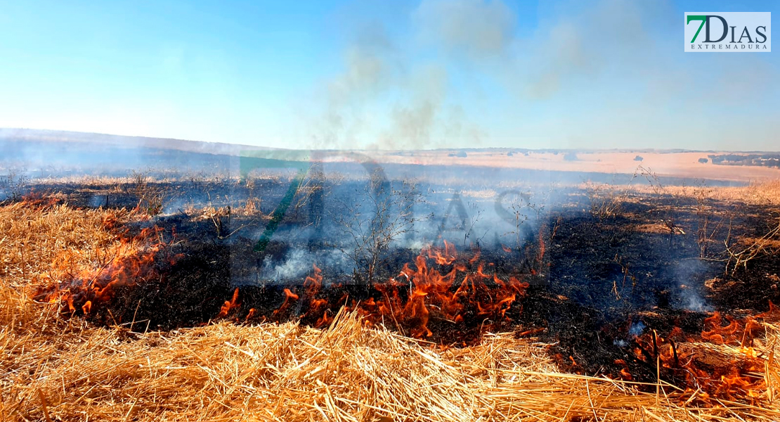 Segundo incendio de la tarde en una finca próxima a Gévora