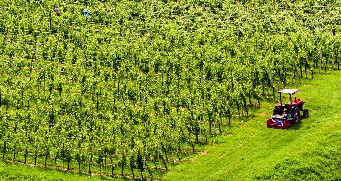 Los agricultores extremeños siguen sumando apoyos ante los precios ruinosos