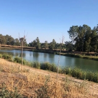 Se podrá practicar la pesca deportiva en la charca de La Encomienda