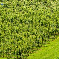 Los agricultores extremeños siguen sumando apoyos ante los precios ruinosos