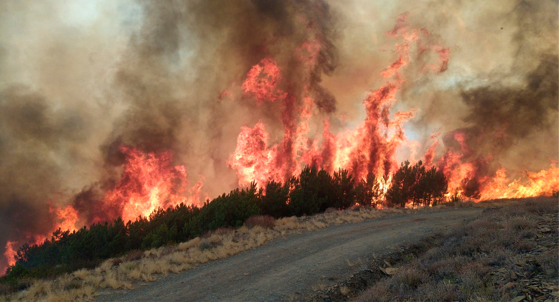 Denuncian que la reforma de la PAC supone un incremento en el número de incendios