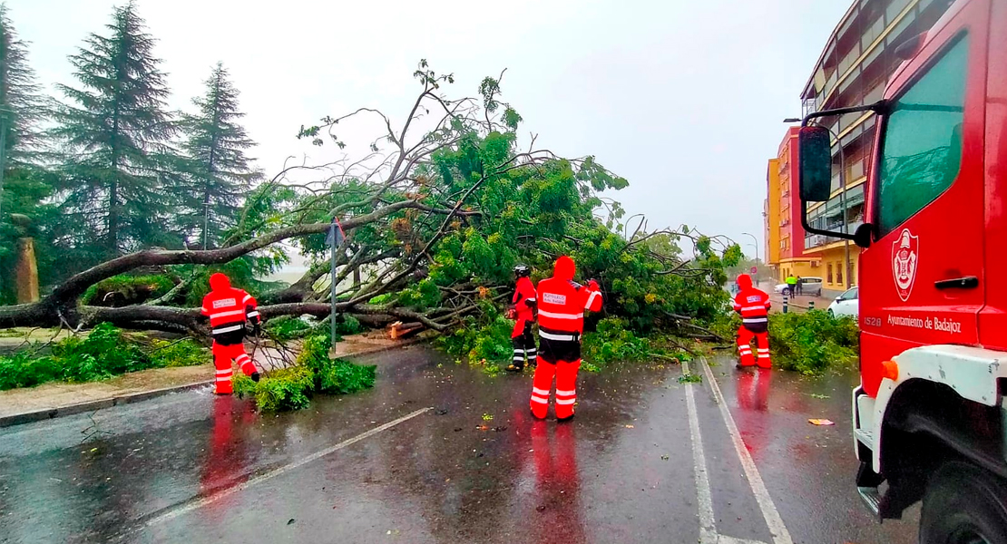 REPOR - La borrasca Beatrice causa destrozos en la ciudad de Badajoz