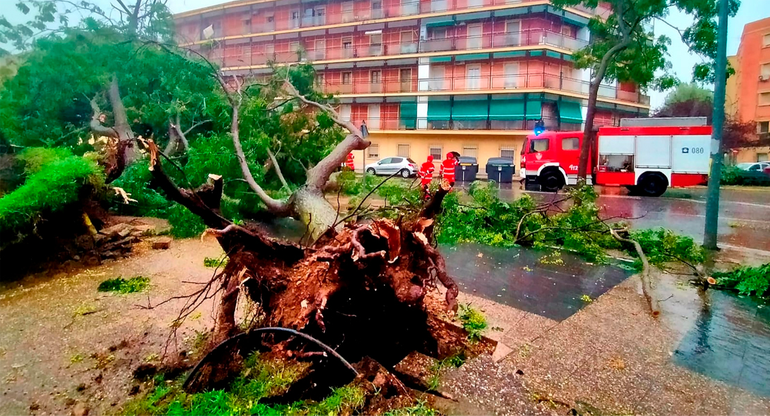 REPOR - La borrasca Beatrice causa destrozos en la ciudad de Badajoz