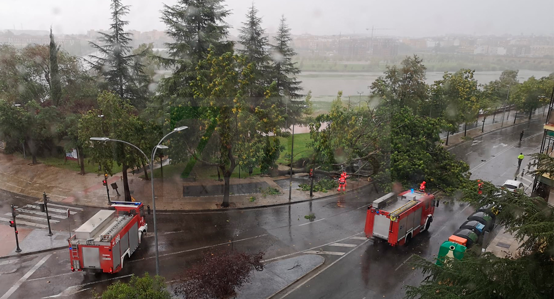 REPOR - La borrasca Beatrice causa destrozos en la ciudad de Badajoz