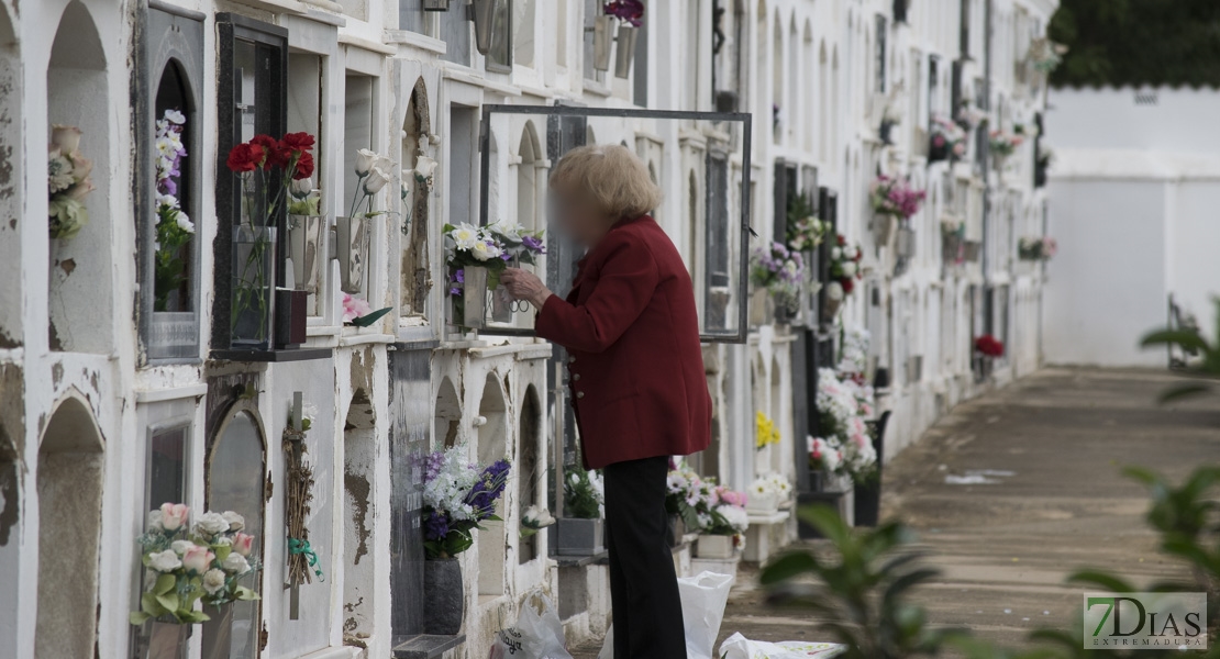 El cementerio cacereño preparado para rendir homenaje a sus difuntos