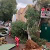 REPOR - La borrasca Beatrice causa destrozos en la ciudad de Badajoz