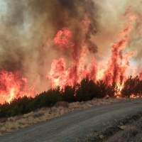 Denuncian que la reforma de la PAC supone un incremento en el número de incendios