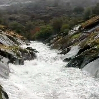 Trágico suceso este domingo en Los Pilones (Cáceres)