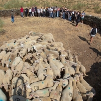 Estudiantes alemanes conocen las tradiciones extremeñas