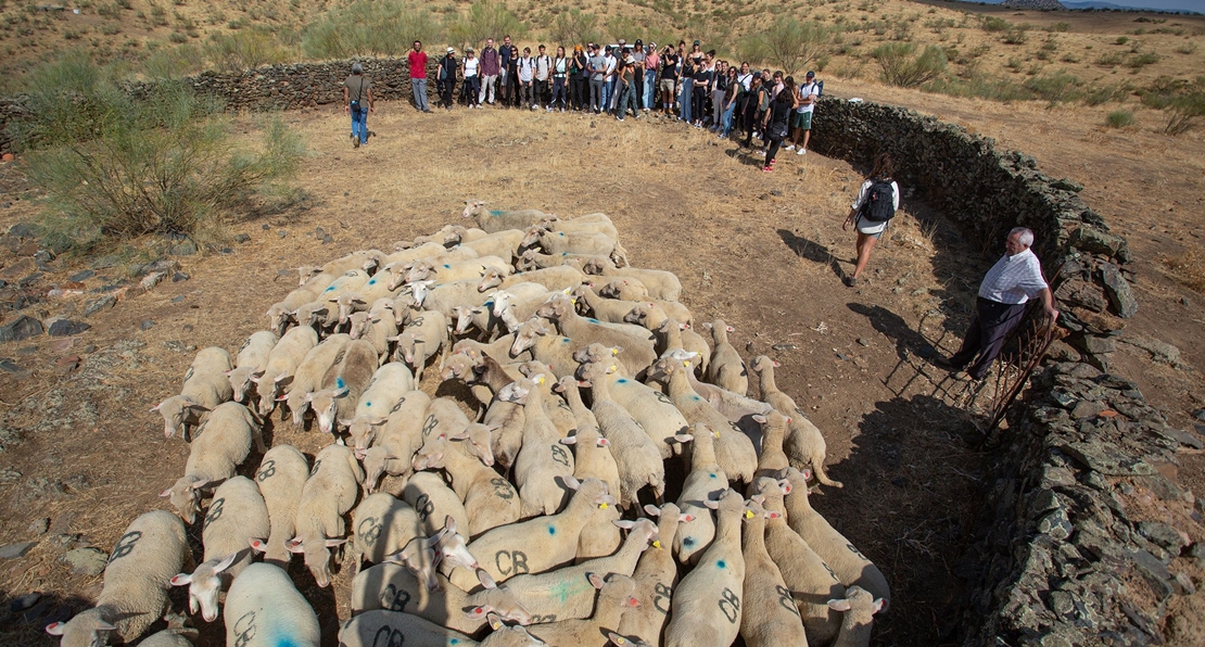 Estudiantes alemanes conocen las tradiciones extremeñas