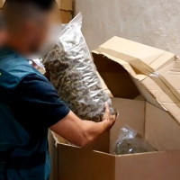 La Guardia Civil halla el mayor alijo de marihuana del mundo