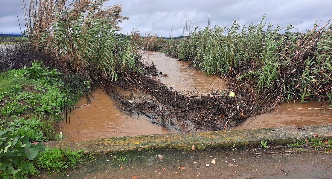 El campo extremeño pide explicaciones por la falta de mantenimiento de ríos y arroyos