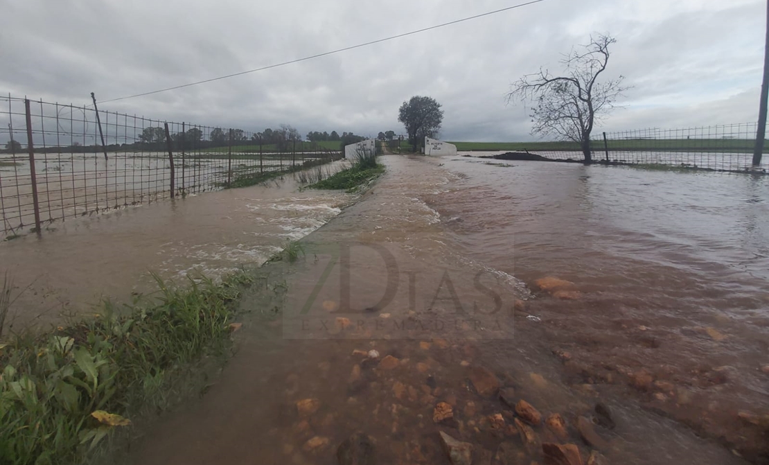 REPOR: El agua salta por varias carreteras entre Badajoz y Alburquerque