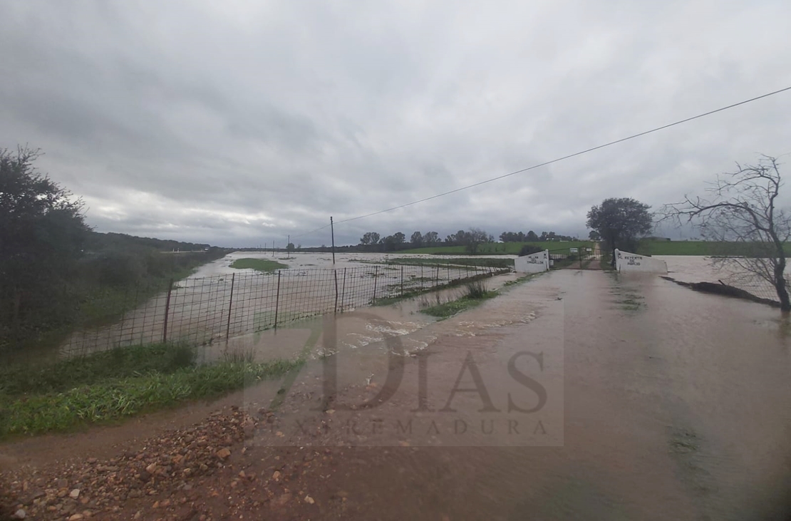 REPOR: El agua salta por varias carreteras entre Badajoz y Alburquerque