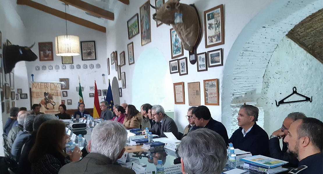 Debaten que sea más sencillo autorizar festejos taurinos populares en Extremadura