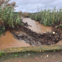 El campo extremeño pide explicaciones por la falta de mantenimiento de ríos y arroyos