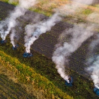 La Unión exige la modificación de la normativa de quema de restos vegetales en Extremadura