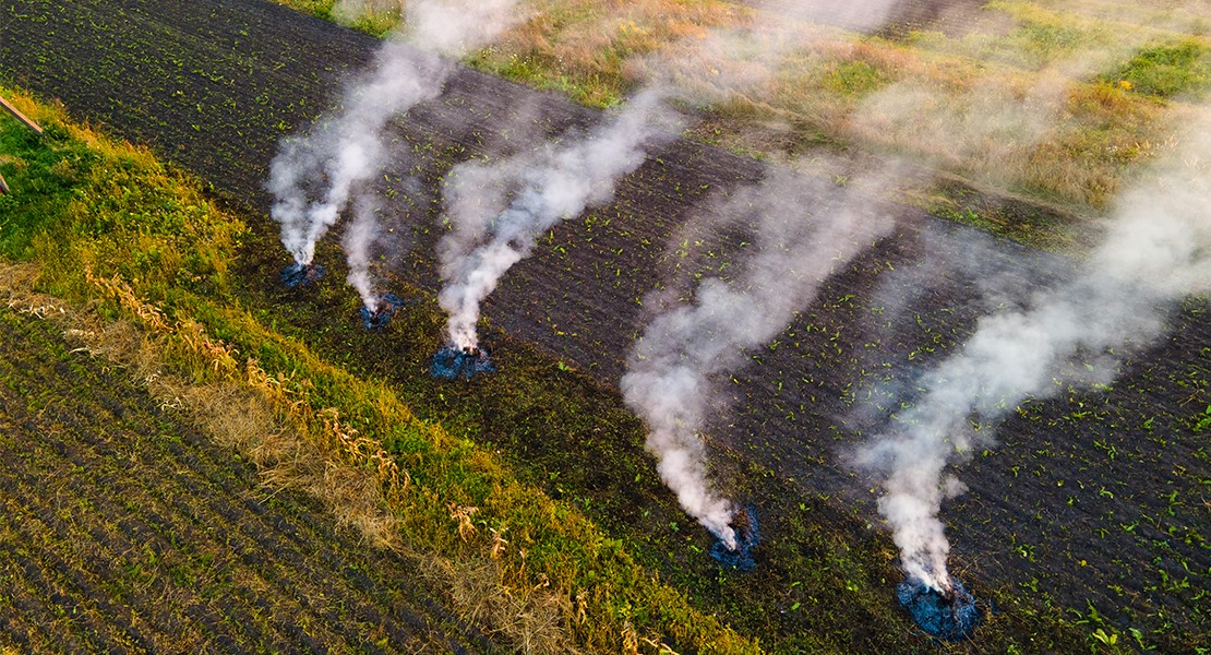 La Unión exige la modificación de la normativa de quema de restos vegetales en Extremadura