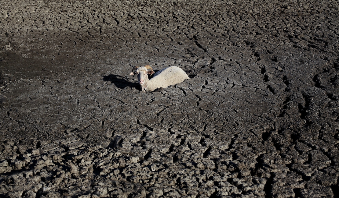 Paisajes de desolación y sequía copan los premios de Fotografía del Mundo Rural