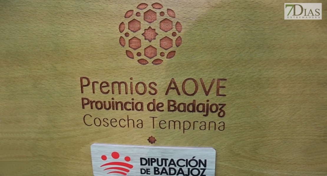 Entrega de los Premios AOVE de la Diputación de Badajoz