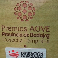 Entrega de los Premios AOVE de la Diputación de Badajoz