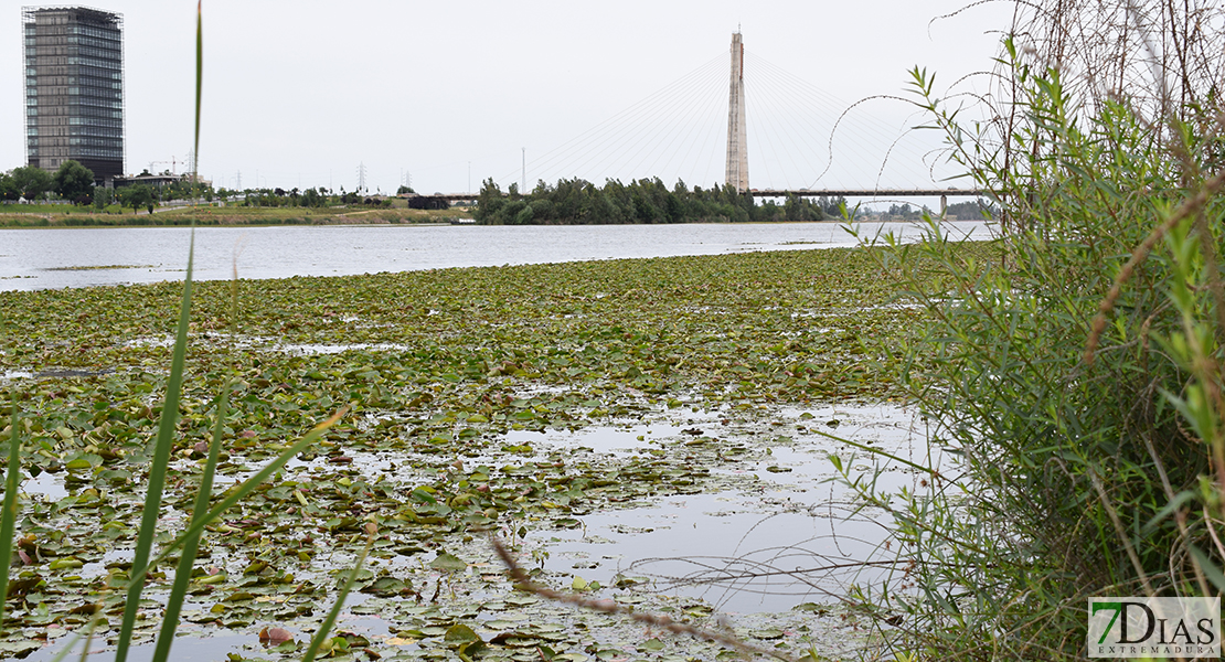 El Guadiana continúa esperando una solución