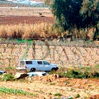 Aparece el cuerpo del hombre que buscaban en Aceuchal (Badajoz)