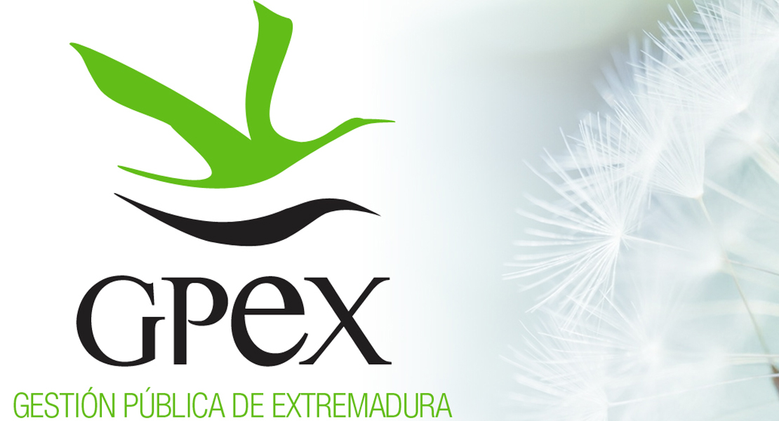 GPEX convoca una oferta de empleo