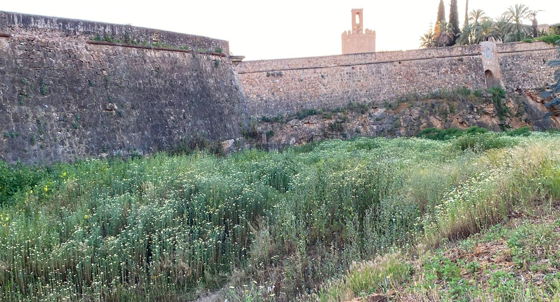 El penoso estado del monumento más importante de Badajoz