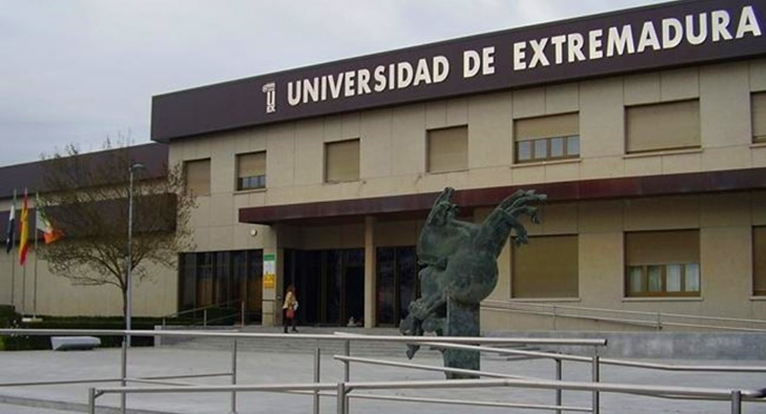 Estos son los resultados del primer análisis psicológico a los alumnos de la UEX