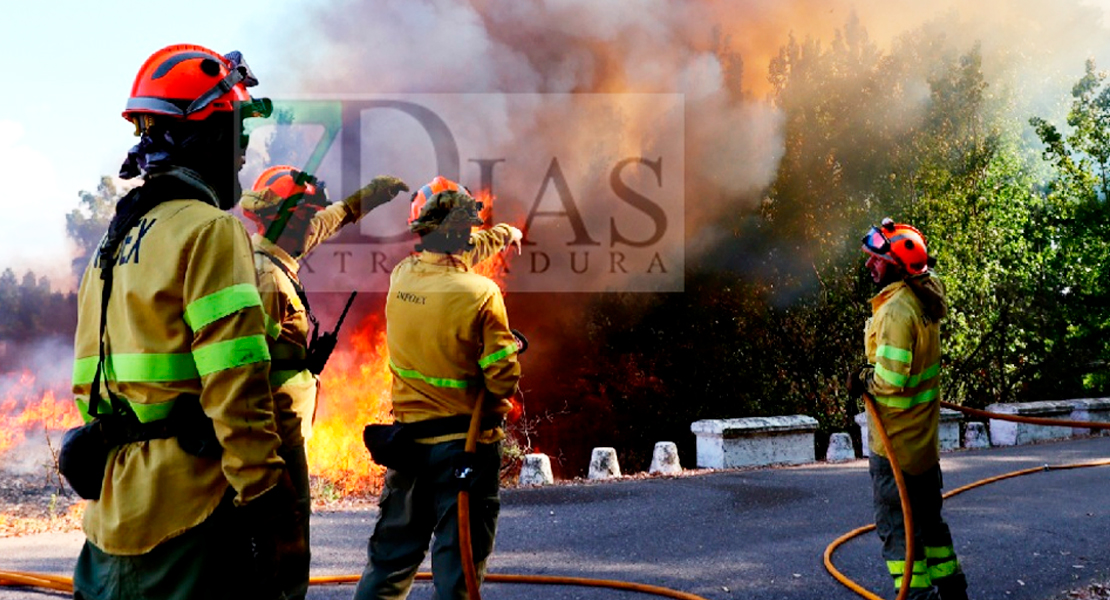 El Gobierno adelanta la campaña estatal contra incendios forestales