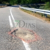 La carretera del norte extremeño que nadie arregla: &quot;Estamos cansados de tanta desidia&quot;