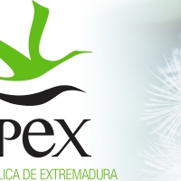 GPEX convoca una oferta de empleo