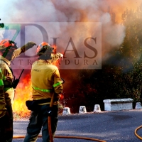 El Gobierno adelanta la campaña estatal contra incendios forestales