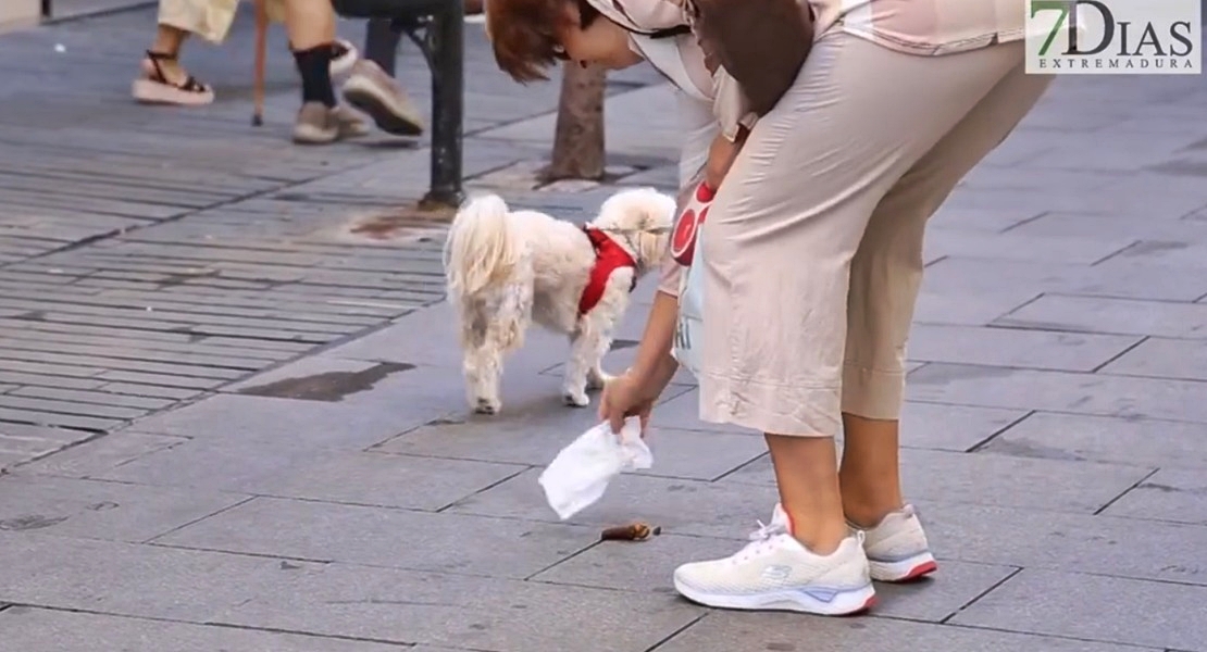 Badajoz te multará con 800 euros si no recoges los excrementos de tu perro