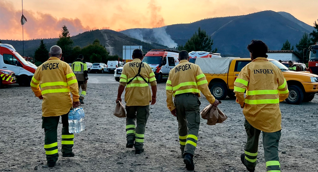 Los trabajos se centran en el noreste de Ovejuela: se calculan más de 10.000 ha arrasadas