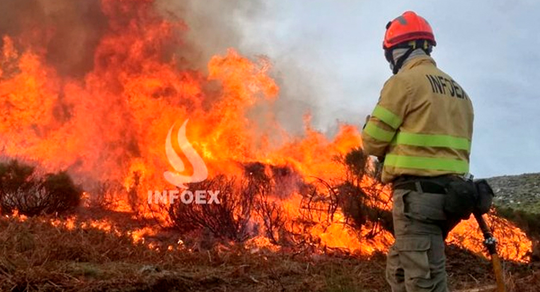 El INFOEX lucha contra un incendio nivel 1 de peligrosidad en Don Benito